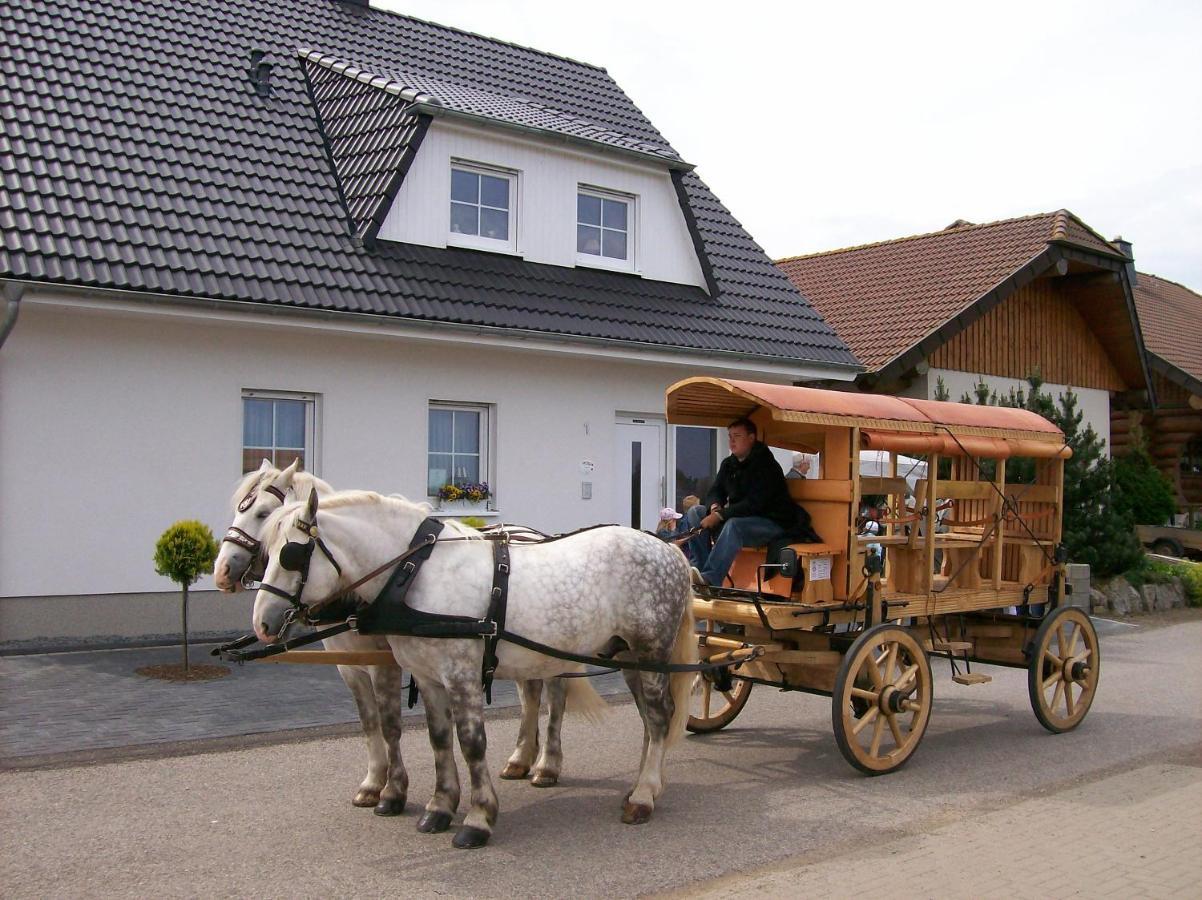 Gastehaus „Haus Am Hahnenberg“ Bed & Breakfast Marmagen Exterior photo